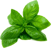 Leaves accent