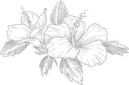 Offer Background 1