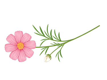 decorative flower