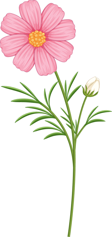 Offer Background 1